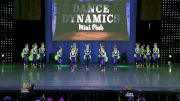 Dance Dynamics Mini Pink [2019 Mini Large Pom Day 2] NDA All-Star National Championship