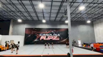 Carolina Flipz - Vixen [L3 Junior - D2 - Small] 2021 The Regional Summit Virtual Championships