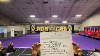 Nor Cal Elite All Stars - Sacramento - MUSE [L3 Junior - Small] 2021 PacWest Virtual Championship