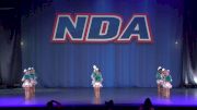 Dance Dynamics Tiny Premier [2024 Tiny Prep - Pom Day 1] 2024 NDA All-Star Nationals