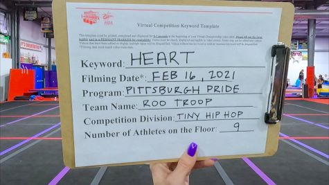 Pittsburgh Pride All Stars [Tiny - Hip Hop] 2021 NCA & NDA Virtual February Championship