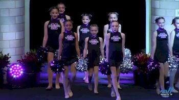 NY Majestic Dance Team - Youth Pom Team [2019 All Star Youth Pom - Small] UDA National Dance Team Championship
