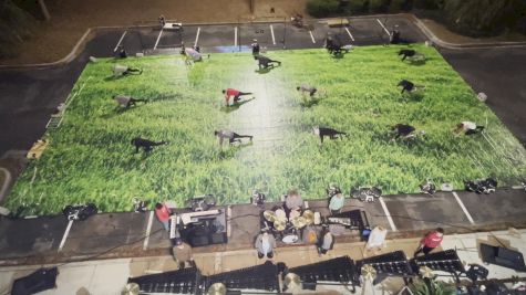 Charles Towne Percussion- Habitat