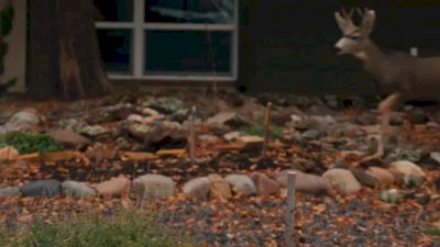 Paige Wood & Tyler Day Crush Mile Repeats Ahead Of The Marathon Project _ Workout Wednesday