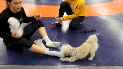 Helen Maroulis Brings Her Dog To Practice