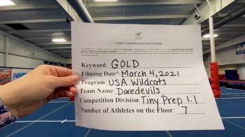 USA Wildcats [L1.1 Tiny - PREP] 2021 Varsity Virtual Competition Series - Prep & Novice I