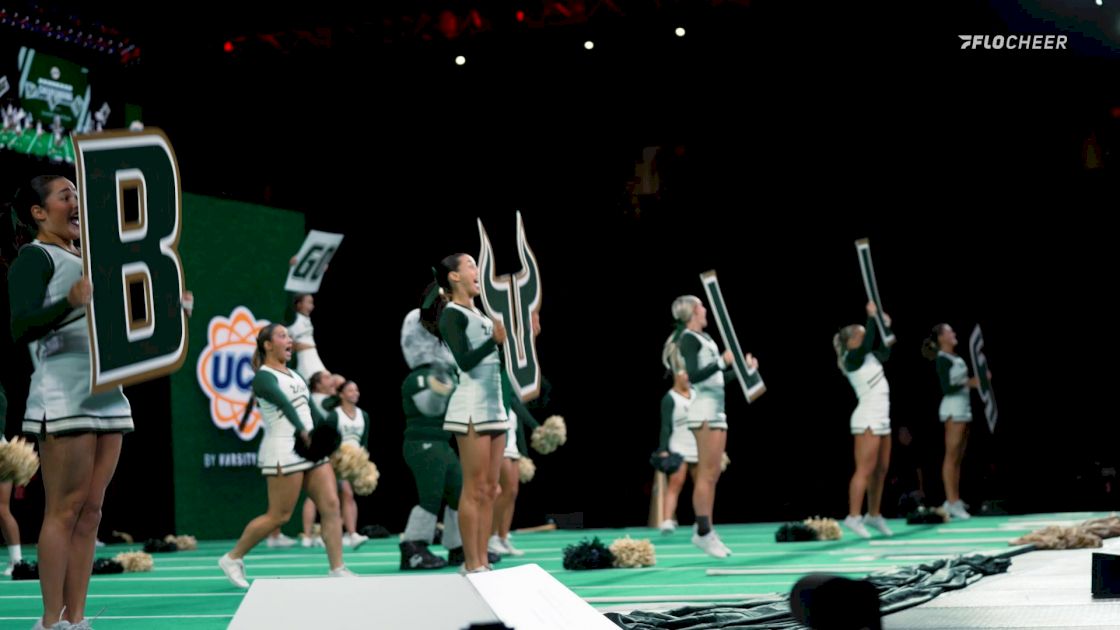 Running With The Bulls: The University Of South Florida