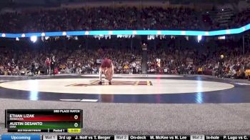 133 3rd, Ethan Lizak, Minnesota vs Austin DeSanto, Iowa
