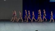 Majestic Dance Team - Majestic Youth Jazz [2019 Small Youth Jazz Semis] 2019 The Summit