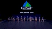 Dancin Bluebonnets - Juniors [2021 Junior Coed Contemporary / Lyrical Semis] 2021 The Dance Summit