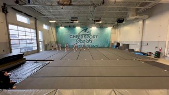 Cheer Sport Sharks Newfoundland - Blush Sharks [L1 Youth] - 2024 - NDA January Virtual