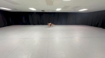 Star Steppers Dance - Catalina Smith [Youth - Solo - Contemporary/Lyrical] 2026 NDA All Star National Solo Qualifier