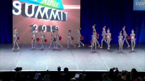 Dance Dynamics - Mini Elite Small Pom [2019 Small Mini Pom Semis] 2019 The Summit