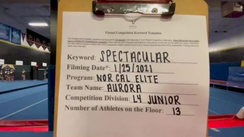 Nor Cal Elite All Stars - San Ramon - Aurora [L4 Junior - Small] 2021 ATC International Virtual Championship