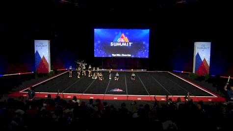 Tiger Elite - Fierce Cats [2019 L1 Medium Youth Finals] 2019 The Summit