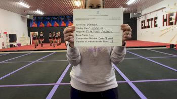 Elite Heat All-Stars - Fire [L4 Senior - Small] 2021 Coastal at the Capitol Virtual National Championship