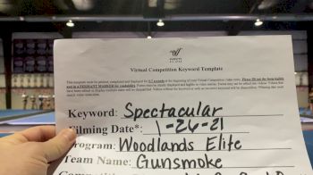 Woodlands Elite OR - Woodlands Elite - OR - Gunsmoke [L6 Senior Coed Open] 2021 ATC International Virtual Championship