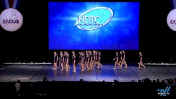 Stevenson High School (IL) [2019 Large Jazz Semis] UDA National Dance Team Championship