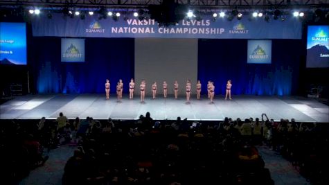 Dance Dynamics - Mini Pink Large Lyrical [2019 Large Mini Contemporary/Lyrical Semis] 2019 The Summit