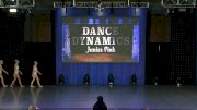 Dance Dynamics Junior Pink [2019 Junior Small Contemporary/Lyrical Day 2] NDA All-Star National Championship