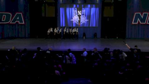 Dance Dynamics [2019 Mini Hip Hop Large Day 1] NDA All-Star National Championship