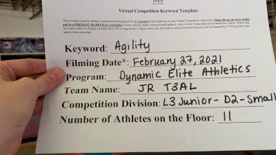 Dynamic Elite Athletics - JR T3AL [L3 Junior - D2 - Small - A] 2021 Varsity All Star Winter Virtual Competition Series: Event III
