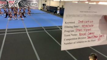Stars Vipers - Stars Vipers San Antonio - Royal Cobras [L5 Senior Coed] Varsity All Star Virtual Competition Series: Event II