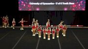 University of Gymnastics - U of G Youth Stars [2019 L1 Small Youth Wild Card] 2019 The D2 Summit