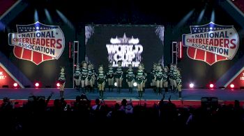 World Cup - Twinkles [2022 L5 Large Junior Day 2] 2022 NCA All-Star National Championship