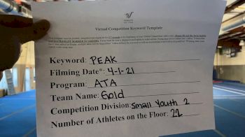 ATA - Gold [L2 Youth - Small] 2021 The Regional Summit Virtual Championships