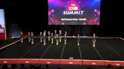 East Tennessee Cheer - Cheetahs [2019 L1 Small Youth Wild Card] 2019 The D2 Summit