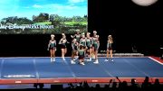 World of Cheer - Panthers [2019 L4 Senior Small D2 Day 2] 2019 UCA International All Star Cheerleading Championship