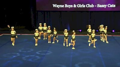 Wayne Boys & Girls Club - Sassy Cats [2020 L1 Performance Rec - Affiliated (8Y)] 2020 The Quest