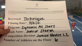 Dynamic All Stars [L1 Junior - Novice] 2021 Varsity Virtual Competition Series - Prep & Novice II