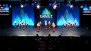 Dance Dynamics - Youth Elite Large Variety [2024 Youth - Variety Semis] 2024 The Dance Summit