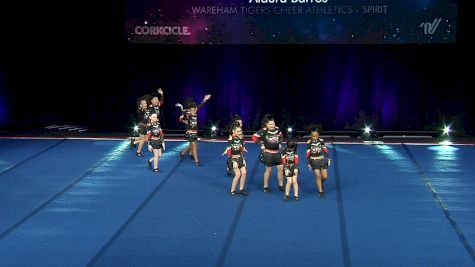 Wareham Tigers Cheer Athletics - Spirit [2024 L1 Performance Rec - 10Y (NON) - Small Semis] 2024 The Quest