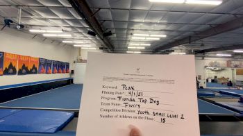 Florida Top Dog All Stars - Flurry [L2 Youth - Small] 2021 The Regional Summit Virtual Championships