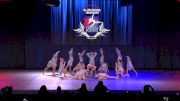 South Texas Strutters [2022 Mini Small - Contemporary/Lyrical Day 2] 2022 NDA All-Star National Championship