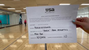 Peak Athletics - Birds [Mini - Pom] 2021 USA All Star Virtual Championships