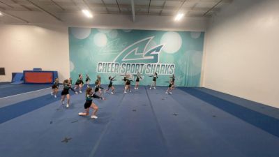 Cheer Sport Sharks - Ancaster - Whitespotted [CC: L1 - U17] 2022 Varsity All Star Virtual Competition Series: FTP East