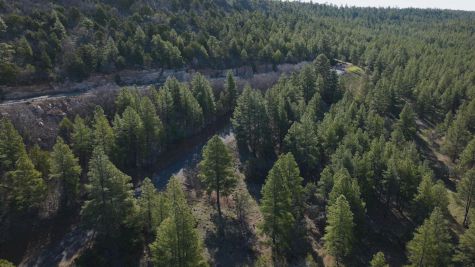 Weini Kelati Cruises Through Hill Workout At Flagstaff's Marshall Lake Road | Workout Wednesday