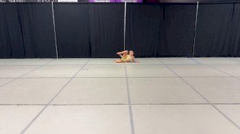 The Dance Vault - Giselle Assolin [Tiny - Solo - Contemporary/Lyrical] 2024 NDA All-Star National Championship