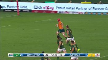 Australia Rugby Star Harry Wilson Scores Try vs Springboks