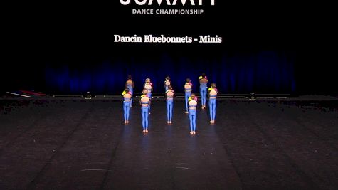 Dancin Bluebonnets - Minis [2021 Mini Pom - Small Finals] 2021 The Dance Summit