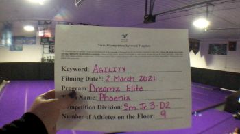 Dreamz Elite Allstars - Phoenix [Level 3 L3 Junior - D2 - Small - A] 2021 Varsity All Star Winter Virtual Competition Series: Event III