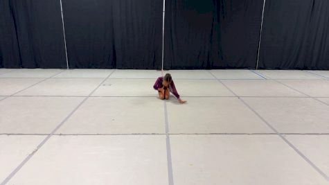 The Dance Vault - Ryleigh Douglas [Mini - Solo - Contemporary/Lyrical] 2024 NDA All-Star National Championship