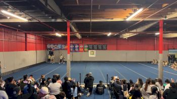 Texas Wolverine All Stars - Gold Blades [L4 Senior Coed - Small] 2025 WSF - Virtual Winter I