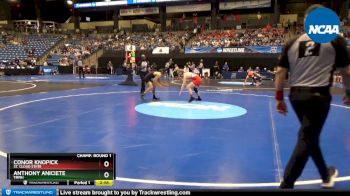 125 lbs Prelim Round 1 - Conor Knopick, St. Cloud State vs Anthony Aniciete, Tiffin