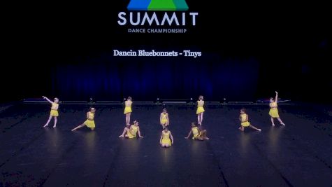 Dancin Bluebonnets - Tinys [2021 Tiny Contemporary / Lyrical Semis] 2021 The Dance Summit