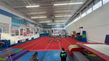 Westchester All Stars - Dreamers [L1 Mini - Novice - Restrictions] 2025 JAMfest-Virtual-Spring I